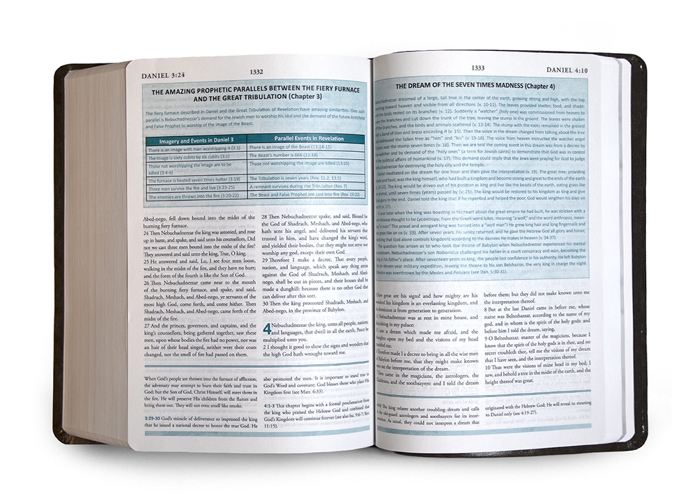The Perry Stone Hebraic Prophetic Old Testament Study Bible - Standard Edition - Image 2