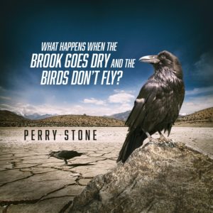 When the Brook Goes Dry and the Birds Don't Fly? - Audio