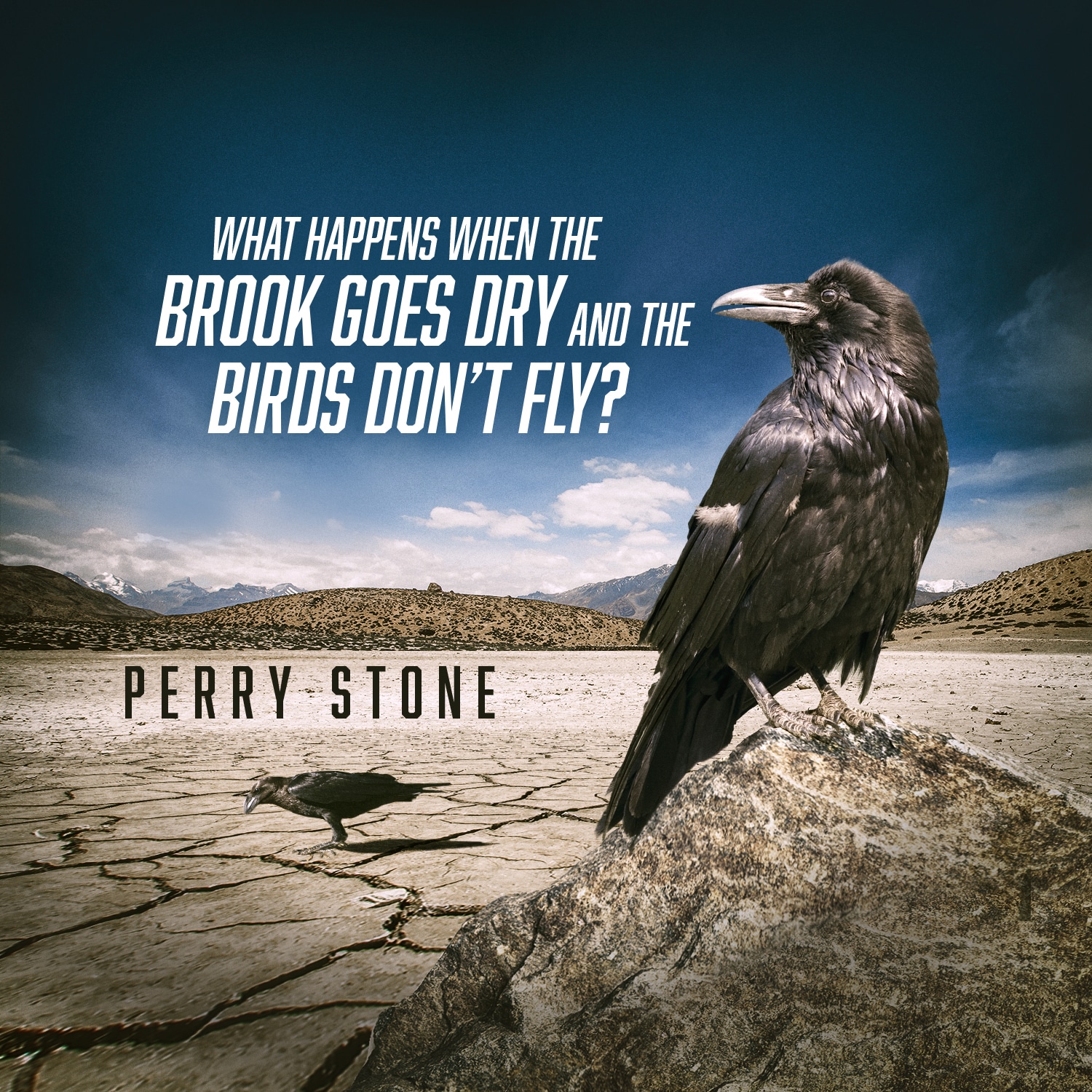 When the Brook Goes Dry and the Birds Don't Fly? - Audio