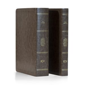 Old and New Testament Study Bible Bundle - Standard Edition (Chestnut)