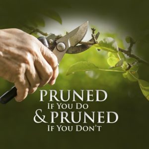 Pruned If You Do and Pruned If You Don't - Audio