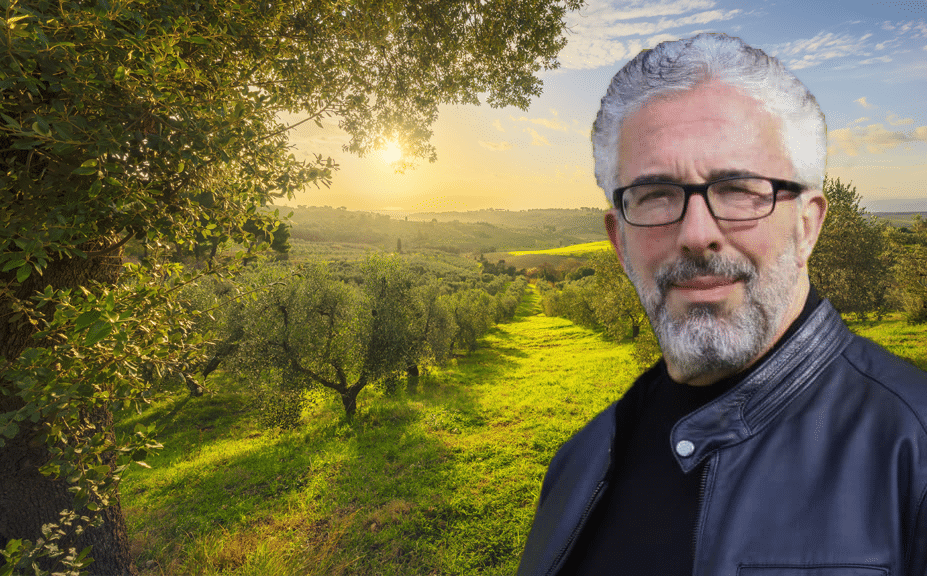 Perry Israel Olive Grove